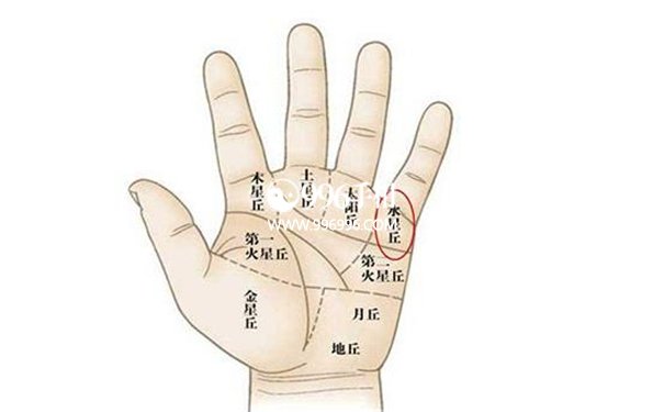 富人手纹