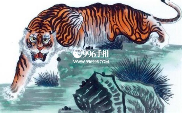 感情不顺的生肖