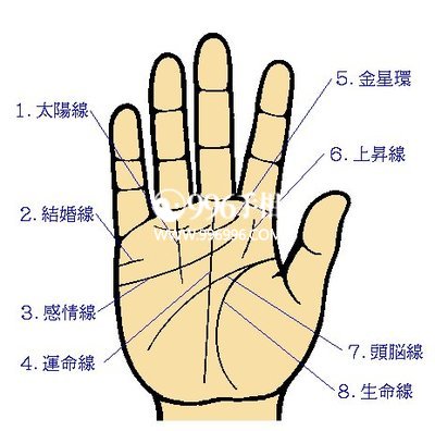 相术看性格