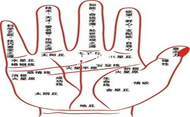 手诊专家能凭掌纹诊断