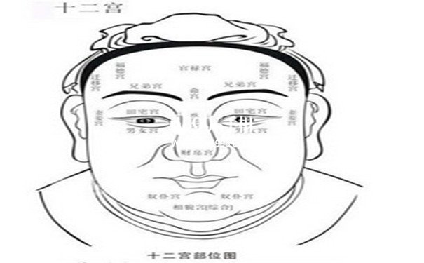 相术大全富贵女人