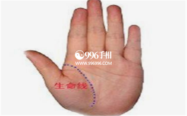 女人手相大全