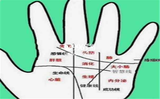 左手看男人