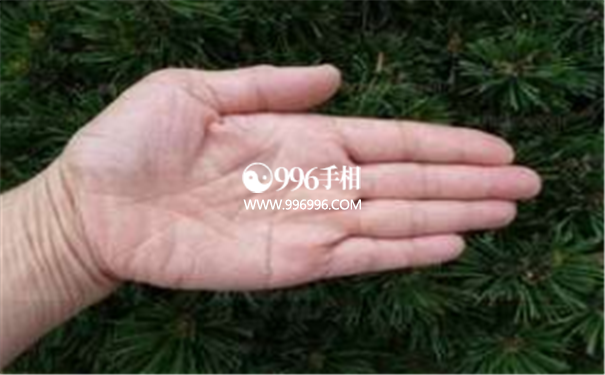财富手相