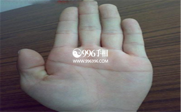 假断掌手相图解