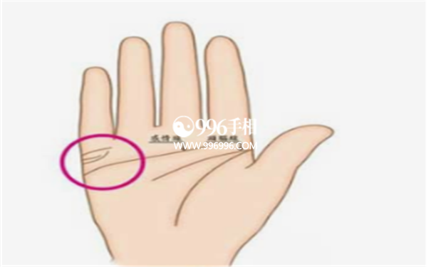 女人右手掌纹图解