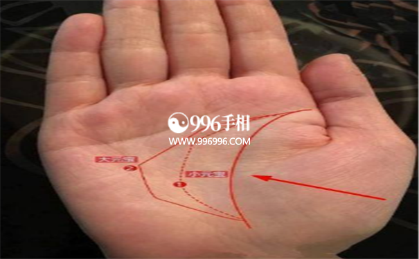 女人手相有四线