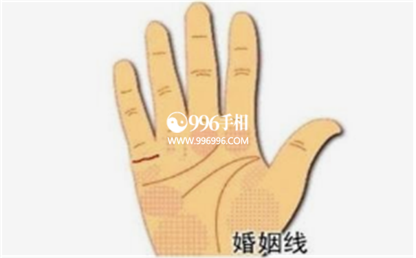 手相掌纹分析
