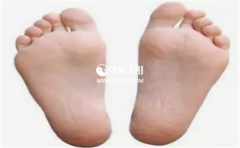 ͼȫŲ̺Ϣ