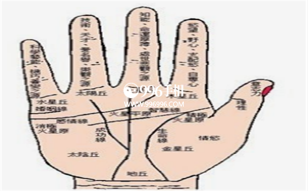 官运手相怎么看