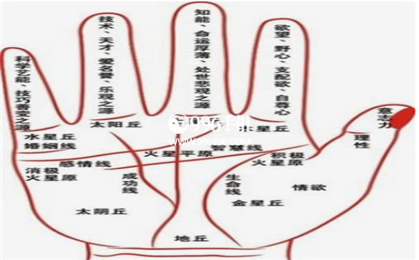手相算命准吗