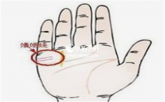 ������ͼ�������һ���˵Ļ���˳��˳�����൱�о��ܹ��˽�