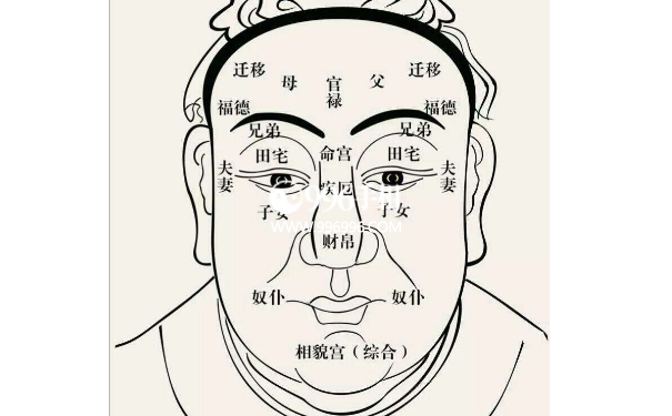 ����������ô������