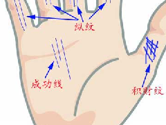 ӵ������������������ر��۲�