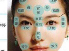 ѧʮϸĽ