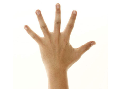 ͼȫָͷӵʲôĳأ