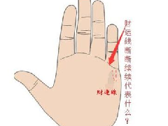 ʲô�ǲ����ߣ���ͬ�Ĳ����߻�ӵ��ʲô��һ����Ӱ���أ�