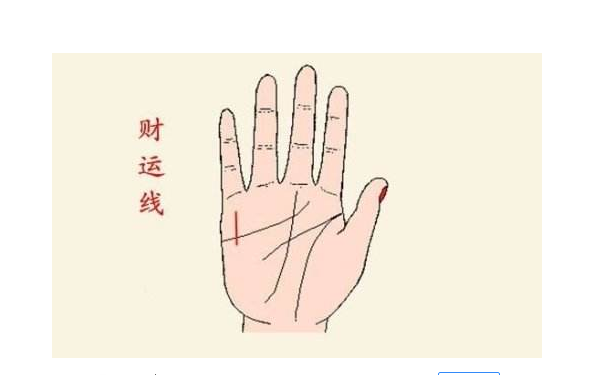 û�вƸ�����ʲô��˼�أ��ǲ�����ζ��û�в��ˣ�