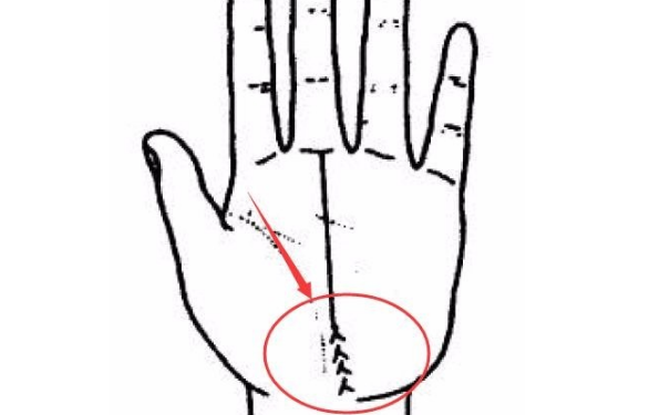 ��ο����ƣ������е������ƶ�������ʲô����Ӱ���أ�