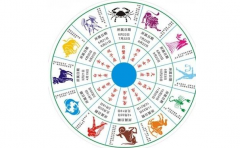 ʮ�������ļ��������� ������������������������أ�