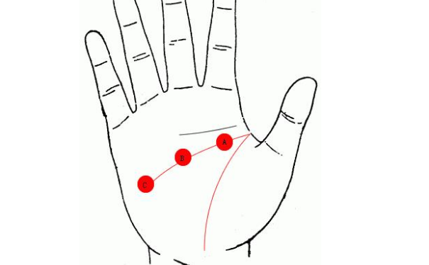 ��ο������еĻ����ߣ�