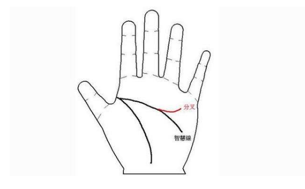 ���˺õ������ǵĲ����߻�����ô���أ�