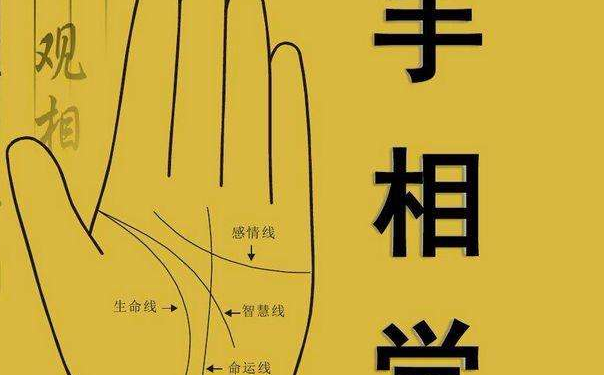 �����߳�ʲô��������أ�ӵ�����������ߵ��˲��˺ܺ�