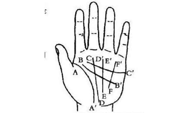 ��ο����ƣ����Ƶ�����Ҫ����