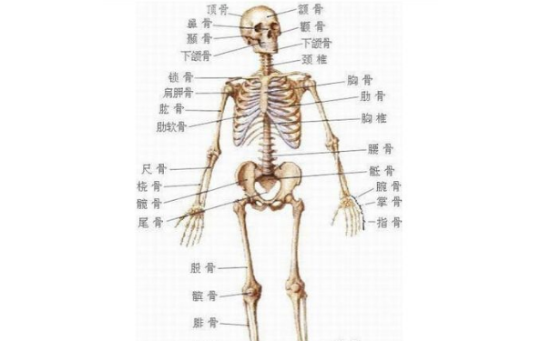 ȫвͬĹӵЩһӰأ