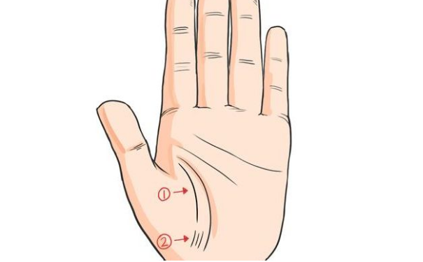  �����߷ֲ�,�вƻ���ʧ��?