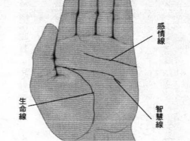 ��ο����ࣿ�ص�����������