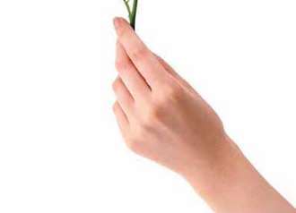 ��ָ�޳���Ů������ò���