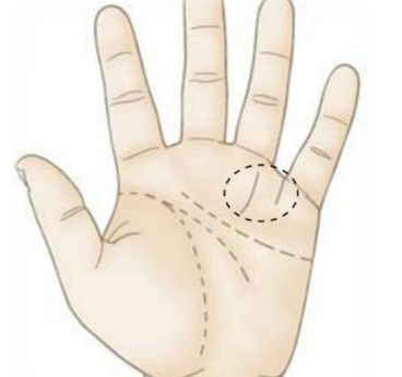 ���࿴����