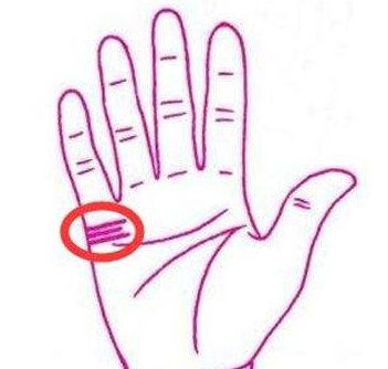 ������ͼ�⣬��Щ����������Ⱥ