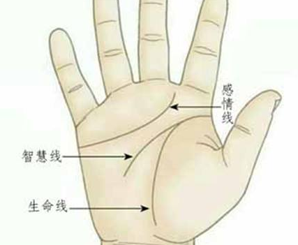 ���˿�������Ҫ��ʲô