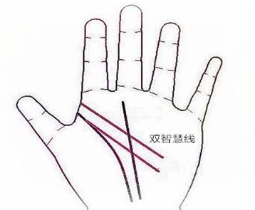 ���־޸��ɹ��ߣ�ӵ�еĶ������˵�