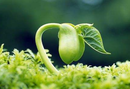 ͬڳвͬص