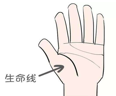 手纹深