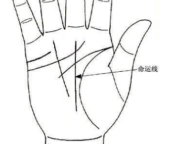 男人命运线图解