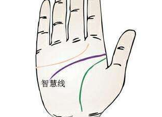 智慧线岛纹
