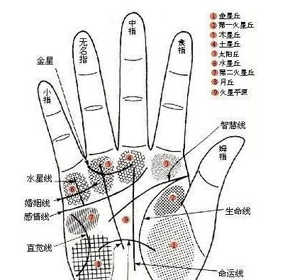 手相图解大全男左手
