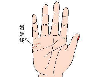 手相图解大全女右手