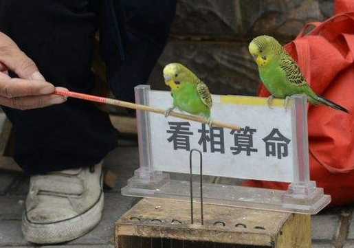 免费八字算命
