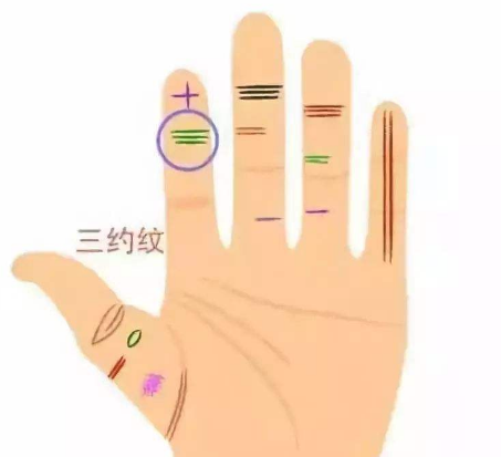 ͼƬģ