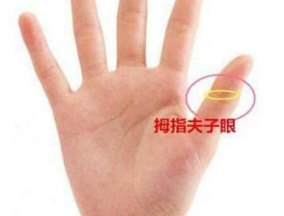 拇指凤眼纹的人生贵子