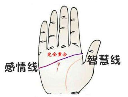 智慧线图解