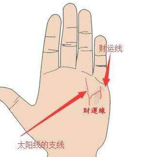 财运线图解男