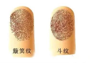 10个簸箕的女人是凤命