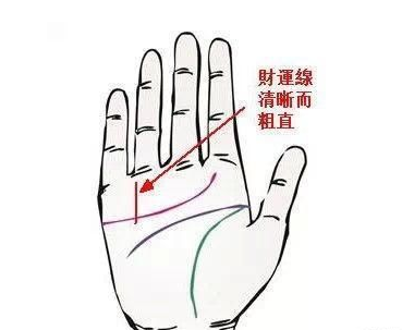 十大横财手相