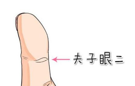 凤眼纹和夫子眼的区别